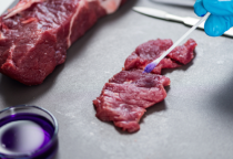 TEST ỨNG DỤNG THỰC TẾ