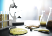 Thiết Kế Thí Nghiệm (DOE) Trong Phát Triển Sản Phẩm Thực Phẩm: Hướng Dẫn Cho Các Nhà Sản Xuất Việt Nam