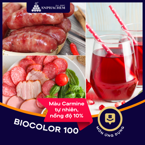 BIOCOLOR 100
